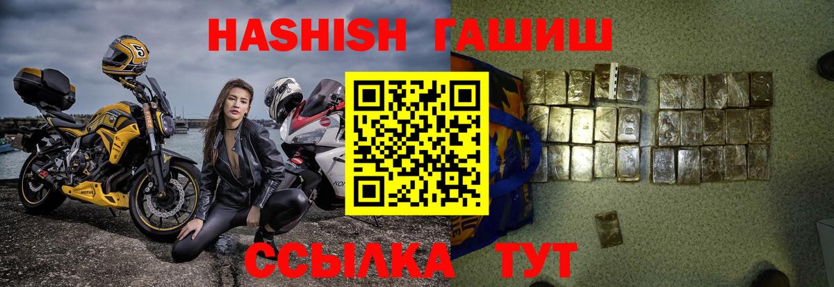 ГАШ Premium  ГАШ Ice-O-Lator  Новозыбков  Вход с VPN 