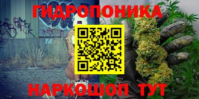 круглые Тара