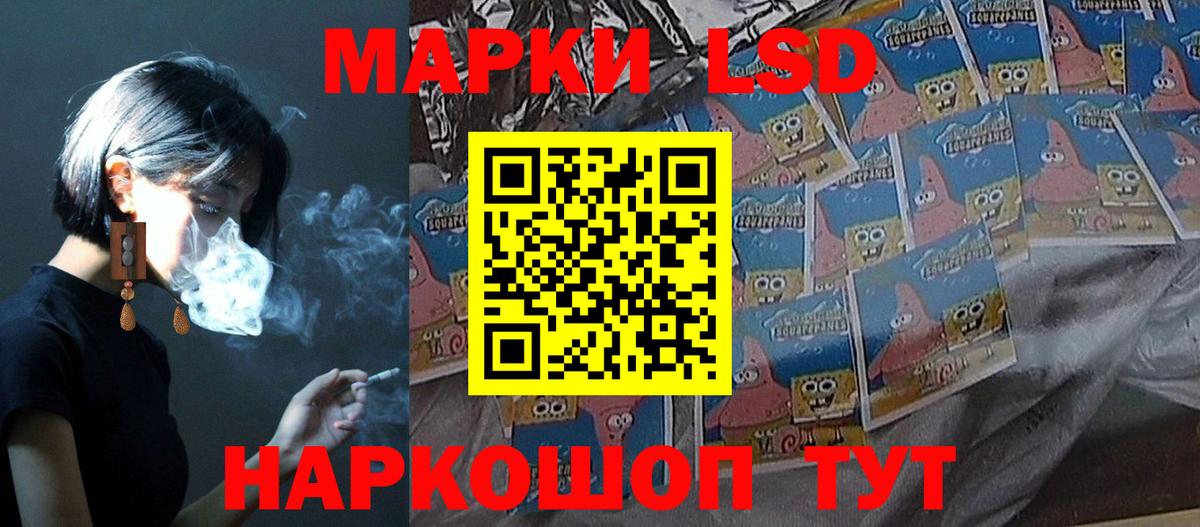 Новозыбков  LSD-25 экстази  LSD-25 экстази кислота  Вход с VPN  LSD-25 экстази кислота 