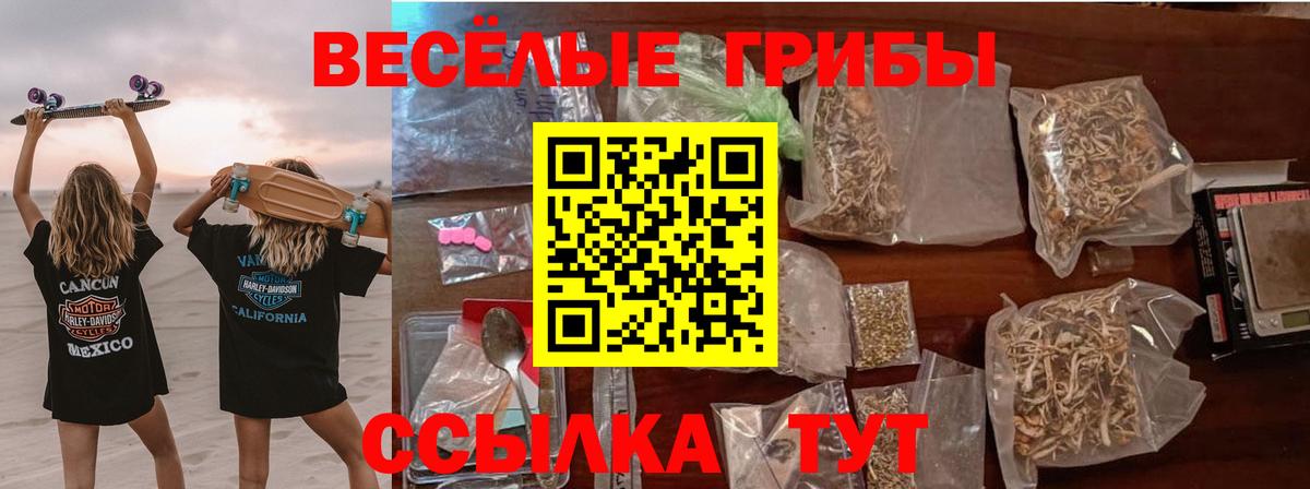 Галлюциногенные грибы GOLDEN TEACHER Новозыбков