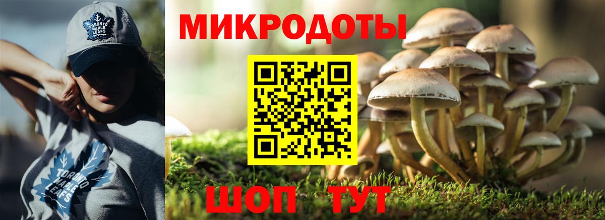 купить   Вход с VPN  Галлюциногенные грибы мицелий  Новозыбков  Галлюциногенные грибы Cubensis 